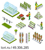 Hydroponics Icons Set. Hydroponics and aeroponics isometric icons set with greenhouse symbols isolated vector illustration. Стоковая иллюстрация, агентство Ingram Publishing / Фотобанк Лори