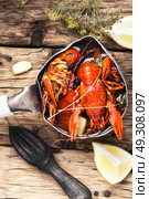 tasty seafood shellfish served in metal pot. boiled shellfish in pan. Стоковое фото, агентство Ingram Publishing / Фотобанк Лори