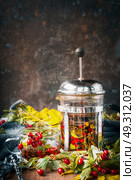 Autumn tea with hawthorn berries on rustic background with warm scarf , front view. Стоковое фото, агентство Ingram Publishing / Фотобанк Лори