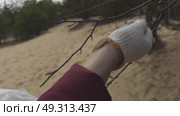 A human hand in a white glove is plucking fresh buds from a birch tree branch to make a useful food supplement. Traditional medicine and natural food. Spring harvest near the beach. Close up. Стоковое видео, видеограф Валенти Финаев / Фотобанк Лори