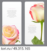 Beautiful Floral Cards with  Realistic Flowers Rose and Lilly Vector Illustration EPS10. Beautiful Floral Cards with  Realistic Flowers Rose and Lilly Ve. Стоковая иллюстрация, агентство Ingram Publishing / Фотобанк Лори