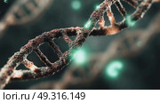 Discovering the structure of DNA through virtual imagery in a detailed scientific exploration. Стоковое AI-видео, аниматор Ekaterina Ismagilova / Фотобанк Лори