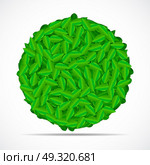 Natural Green Leaves Background. Vector Illustration EPS10. Natural Green Leaves Background. Vector Illustration. Стоковая иллюстрация, агентство Ingram Publishing / Фотобанк Лори