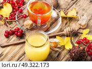 autumnal warming tea. cup of berry tea with a mulberry on background with autumn leaves. Стоковое фото, агентство Ingram Publishing / Фотобанк Лори