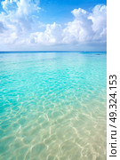 Cozumel island Playa Palancar beach in Riviera Maya of Mayan Mexico. Стоковое фото, агентство Ingram Publishing / Фотобанк Лори