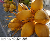 Coconuts for drinking water in Mexico Caribbean. Стоковое фото, агентство Ingram Publishing / Фотобанк Лори