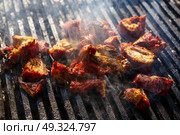 Al Pastor meat barbecue in Riviera Maya of Mexico. Стоковое фото, агентство Ingram Publishing / Фотобанк Лори