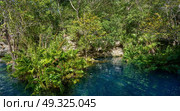 Cenote in Riviera Maya of Mayan Mexico sinkhole exposing groundwater. Стоковое фото, агентство Ingram Publishing / Фотобанк Лори