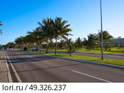 Cancun Mexico Kukulcan boulevard palm trees at Hotel Zone in Mexico. Стоковое фото, агентство Ingram Publishing / Фотобанк Лори