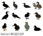 Set of Silhouettes of different types of existing ducks. Vector Illustration. EPS10. Set Silhouettes of different types of existing ducks. Vector. Стоковая иллюстрация, агентство Ingram Publishing / Фотобанк Лори