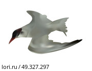 Seabird seagull. Isolated on White background. Vector Illustration. EPS10. Seabird seagull. Isolated on White background. Vector Illustrati. Стоковая иллюстрация, агентство Ingram Publishing / Фотобанк Лори