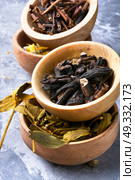 Set of dried medicinal plants. Healing herbs, plants and roots in wooden pots. Стоковое фото, агентство Ingram Publishing / Фотобанк Лори