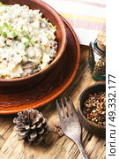 Russian meat salad. Traditional Russian meat salad Olivier, with meat and vegetables. Стоковое фото, агентство Ingram Publishing / Фотобанк Лори