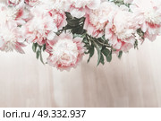 Top view of glorious pastel pink bouquet of peonies on wooden floor background. Cozy home. Стоковое фото, агентство Ingram Publishing / Фотобанк Лори