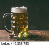 Mug of beer and hops on dark rustic table background, front view, copy space. German style. Стоковое фото, агентство Ingram Publishing / Фотобанк Лори