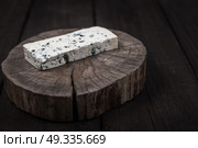 white cheese with green mold on tree trunk wood. Стоковое фото, агентство Ingram Publishing / Фотобанк Лори