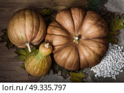pumpkins lying on a wooden table with viburnum and seeds. Стоковое фото, агентство Ingram Publishing / Фотобанк Лори