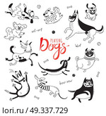 Playing dogs. Funny lap-dog, happy pug, mongrels and other breeds. Set of isolated vector drawings for design. Playing dogs. Funny lap-dog, happy pug, mongrels and other breeds. Set of isolated vector drawings for design. Стоковая иллюстрация, агентство Ingram Publishing / Фотобанк Лори
