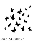 Beautifil Butterfly Silhouette Isolated on White Background Vector Illustration EPS10. Beautifil Butterfly Silhouette Isolated on White Background Vect. Стоковая иллюстрация, агентство Ingram Publishing / Фотобанк Лори