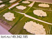 Tamale preparation Mexican recipe with banana leaves and cornmeal. Стоковое фото, агентство Ingram Publishing / Фотобанк Лори