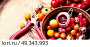 Making bijouterie of color beads. Hobby jewelry making and beading handmade process.Colored beads.Handicraft.Handmade. Стоковое фото, агентство Ingram Publishing / Фотобанк Лори