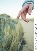 Close up of a hand touching a spike . Стоковое фото, агентство Ingram Publishing / Фотобанк Лори