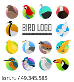 Set of Bird Logo Vector Illustration. Big set of birds vector logo. Collection of fauna icons for illustrating animal theme. Parrot, ara pigeon hawk eagle toucan, ostrich, kingfisher, gull, owl, jay, falcon, crane, isolated on white. Стоковая иллюстрация, агентство Ingram Publishing / Фотобанк Лори