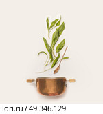 Wild garlic leaves and cooking pot with spoon on white background. Healthy seasonal food and eating concept. Стоковое фото, агентство Ingram Publishing / Фотобанк Лори