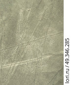 Nazca Lines dog geoglyph in Peru. Стоковое фото, агентство Ingram Publishing / Фотобанк Лори