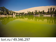  Oasis surrounded by sand dunes near Ica Peru. Стоковое фото, агентство Ingram Publishing / Фотобанк Лори