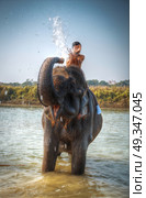 elephants in Chitwan. In the jungles of Nepal. Стоковое фото, агентство Ingram Publishing / Фотобанк Лори