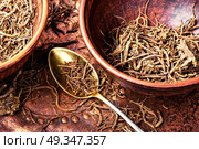 Roots and rhizomes Valerian officinalis. Traditional remedy from valerian roots in a mortar.Herbal medicine. Стоковое фото, агентство Ingram Publishing / Фотобанк Лори