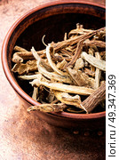 Medicinal root inula. Medicinal raw materials from roots and rhizomes inula.Root elecampane. Стоковое фото, агентство Ingram Publishing / Фотобанк Лори