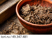 Valerian herb root. Traditional folk remedy from valerian roots in a mortar. Стоковое фото, агентство Ingram Publishing / Фотобанк Лори