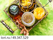 Natural herbs medicine. Natural herbal medicine,medicinal herbs and herbal medicinal tinctures. Стоковое фото, агентство Ingram Publishing / Фотобанк Лори