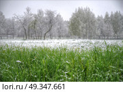 Snow goes in the summer. Abnormal weather. changing of the climate. Snow goes in the summer. Стоковое фото, агентство Ingram Publishing / Фотобанк Лори