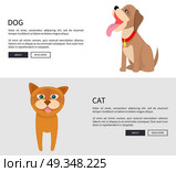 Dog and Cat Conceptual Banner Vector Illustration. Dog and cat conceptual banner vector illustration on white and grey backgrounds. Two buttons ead and learn more at end of description. Стоковая иллюстрация, агентство Ingram Publishing / Фотобанк Лори
