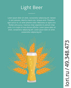 Light Beer Weizen Glass on Ears of Wheat Vector. Light beer weizen glass on ears of wheat vector. Glassware of light alcohol drink with bubbles, symbol of Oktoberfest or Octoberfest festival. Стоковая иллюстрация, агентство Ingram Publishing / Фотобанк Лори