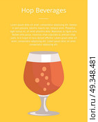 Hop Beverages Poster with Text and Snifter Glass. Hop beverages poster with text and snifter glass of beer in transparent glassware vector. Dark alcohol beverage, symbol of Oktoberfest fest. Стоковая иллюстрация, агентство Ingram Publishing / Фотобанк Лори