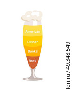 American, and Pilsner Beer Vector Illustration. American and dunkel, pilsner and bock which are beer types with foam of different color isolated on vector illustration on white background. Стоковая иллюстрация, агентство Ingram Publishing / Фотобанк Лори