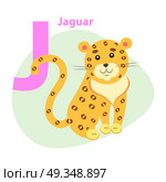 Zoo ABC Letter with Cute Jaguar Cartoon Vector. Children ABC with cute animal cartoon vector. English letter J with funny Jaguar flat illustration isolated on white background. Zoo alphabet with wild cat for preschool education, kids books. Zoo ABC Letter with Cute Jaguar Cartoon Vector. Стоковая иллюстрация, агентство Ingram Publishing / Фотобанк Лори