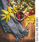 Mug of herbal tea with red autumn hawthorn berries , fall leaves and scarf on rustic wooden background, top view. Стоковое фото, агентство Ingram Publishing / Фотобанк Лори