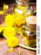 Extraction of flowers dandelions. Bottle of essential oil with flowers dandelions.Healing herbs.Dandelions tinctures. Стоковое фото, агентство Ingram Publishing / Фотобанк Лори