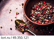 Mixed of peppercorn. set of peppers and a mill for grinding seasonings and spices. Стоковое фото, агентство Ingram Publishing / Фотобанк Лори