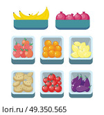Grocery Store Assortment. Healthy Nutrition.. Bananas pomegranates tomatoes oranges lemons potatoes apples and eggfruits in trays isolated. Grocery store assortment, healthy nutrition. Part of series of fruits and vegetables in flat style. Vector. Стоковая иллюстрация, агентство Ingram Publishing / Фотобанк Лори