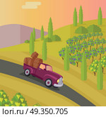 Track Carries Baskets with Grape. Wine Production.. Track carries baskets with grape for wine production. Vineyard plantation of grape-bearing vines, grown for winemaking, raisins, table grapes and non-alcoholic juice. Vinegrove green valley. Vector. Стоковая иллюстрация, агентство Ingram Publishing / Фотобанк Лори