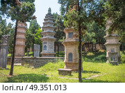 Forest pagodas of the Shaolin Monastery. China. Forest pagodas of the Shaolin Monastery. Стоковое фото, агентство Ingram Publishing / Фотобанк Лори