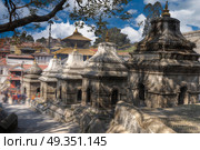 Freely walk monkey. Votive temples and shrines in a row at Pashupatinath Temple, Kathmandu, Nepal.. Pashupatinath Temple. Стоковое фото, агентство Ingram Publishing / Фотобанк Лори