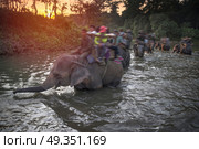 elephants in Chitwan. In the jungles of Nepal. elephants in Chitwan. Стоковое фото, агентство Ingram Publishing / Фотобанк Лори