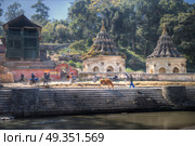 Freely walk monkey. Votive temples and shrines in a row at Pashupatinath Temple, Kathmandu, Nepal.. Pashupatinath Temple. Стоковое фото, агентство Ingram Publishing / Фотобанк Лори